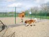 Au Jardin du Chien