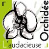 L' Audacieuse Orchidée