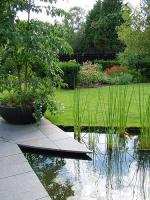 NELUMBO PAYSAGE
